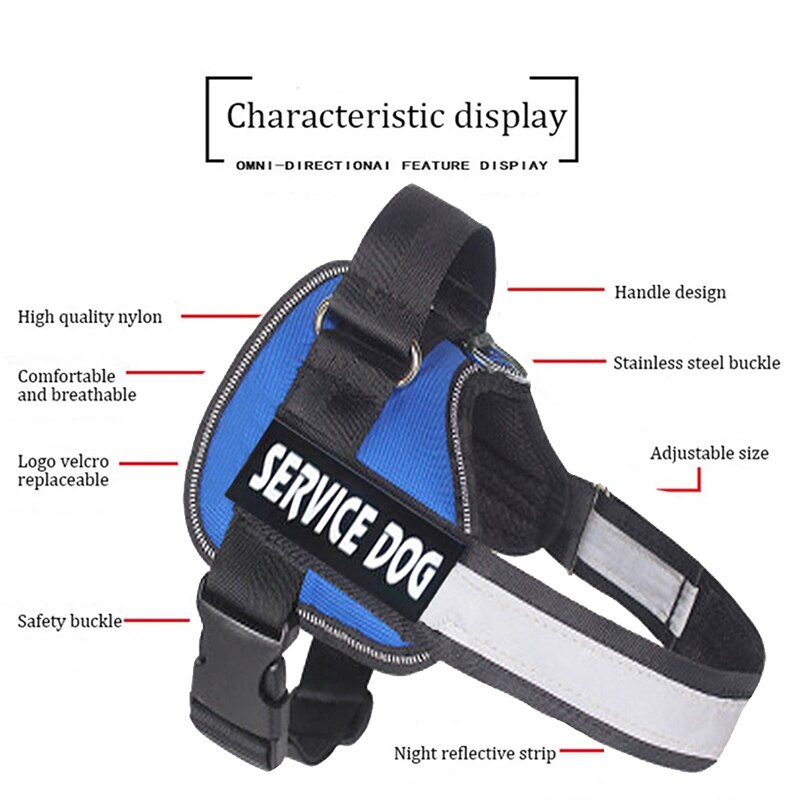 Ham personalizat pentru câini de companie și set de lesă de 1,5 m pentru plimbare noaptea, ham reglabil reflectorizant, cu articole personalizate pentru animale de companie