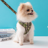 Ham pentru câini Disney, buldog francez, chihuahua, schnauzer, set de ham și lesă, ham reglabil pentru animale de companie, plimbări în aer liber