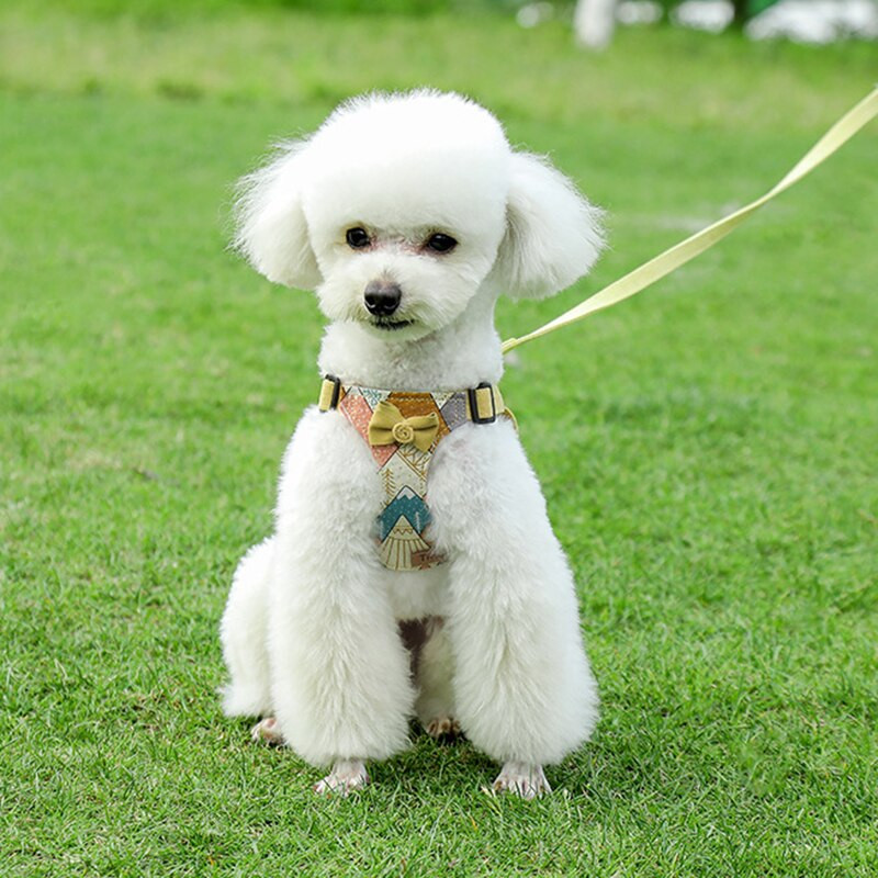 Σετ λουριών και λουριών για κουτάβι Μόδα λουριά γιλέκων για μικρούς μεσαίους σκύλους Yorkie Husky Poodle Walking Mascotas Lead Chain