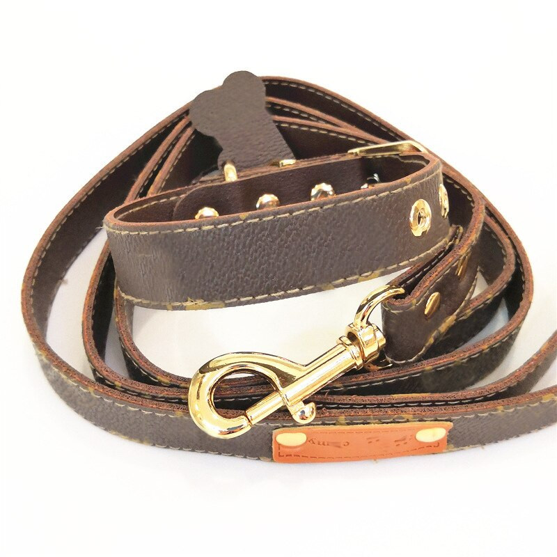 Accesorii pentru animale de companie Accesorii pentru câini Etichetă pentru câini Ham pentru câini Accesorii pentru căței Set de ham și lesă pentru câini Guler pentru câini Lesă pentru câini Lanț pentru câini Animale de companie
