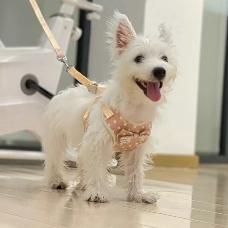 Pigesni čihuahua šuniukų šunų liemenių pakinktai ir pavadėlio rinkinys Reguliuojami petnešėliai mažiems šunims Pinčerių Jorkšyro talismanai