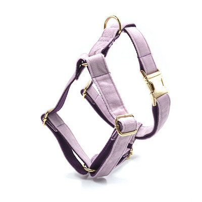 Harnaș de designer din catifea violet deschis pentru câini cu nume personalizat Set guler și lesă cu papion pentru animale de companie cu geantă pentru caca Catarame din metal auriu