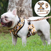Камуфлажни колани за домашни любимци френски булдог Комплект каишка за яка