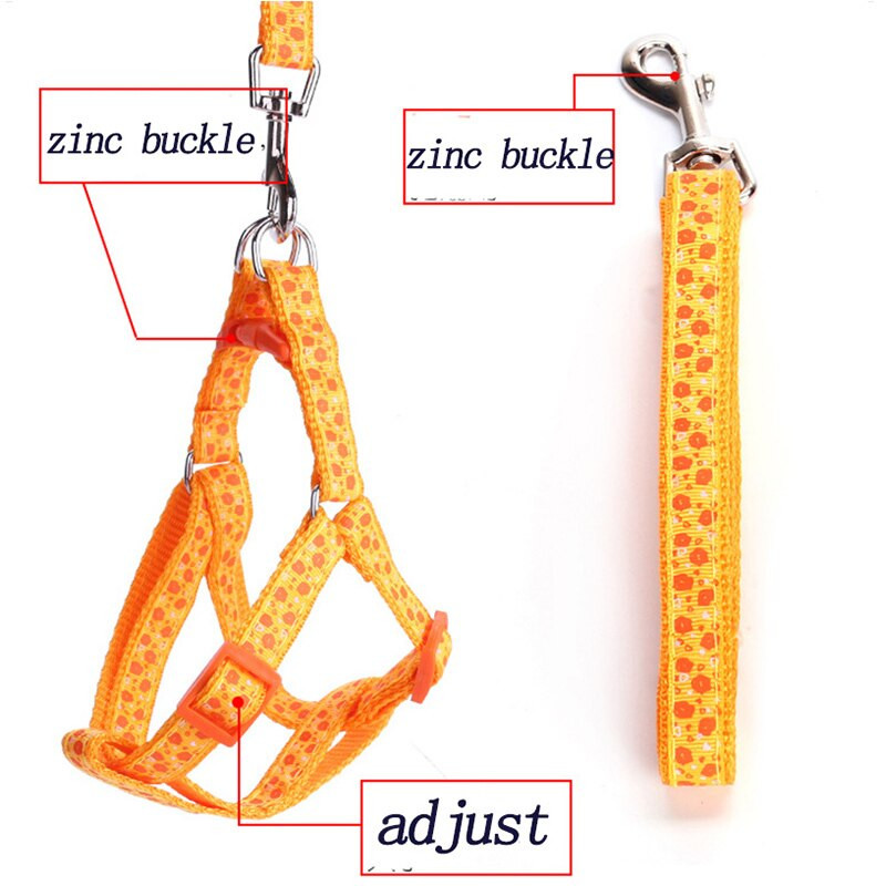 Koerte rakmed ja juhtmete komplektid Nailonist jooksvad väikesed koerad Rakmed Lemmiklooma rihmad Reguleeritavad kutsikad Lemmikkoerte tarvikud XS SM