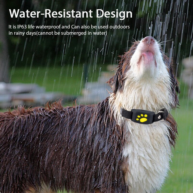 Koerad Kassid GPS-i jälgimine Lemmikloomade GPS-jälgimisrihm kadumisevastane seade Reaalajas jälgimisotsija Lemmikloomade kaelarihmade seade mikrofoniga Tasuta rakendus