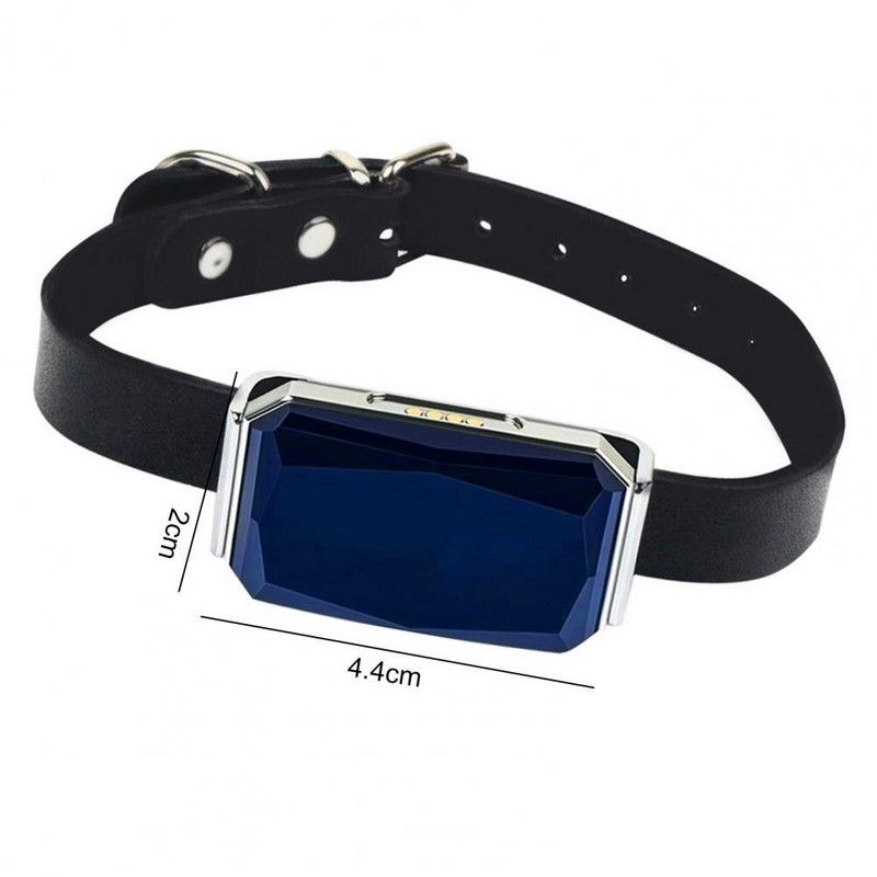 Täpse asukohaga plastist lemmikloomade jälgimisseade Koera kassi kaelaringiga lemmikloomade tarvikud