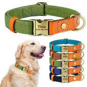 Reguleeritavad nailonist koera kaelarihmad Kohandatud graveeritud nime ID silt Isikupärastatud koera kaelarihm kutsikas keskmine suur unisex koerte kaelarihma rent