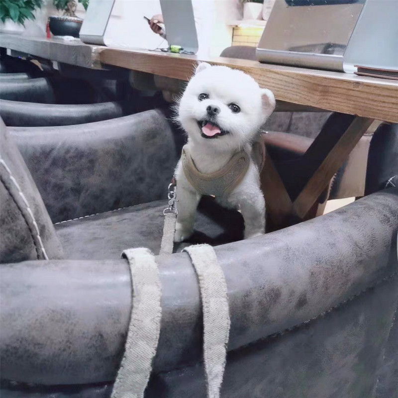 Bulldog francez Pomeranian stil vestă pentru animale de companie Set de hamuri de guler cu lesă reglabil pentru câini de talie mică, Dropshipping în aer liber FHL01