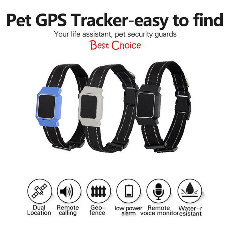 D35 Original Pet Smart GPS Tracker Koera kaelarihm Lemmiklooma Koertele Kassidele Jälgimisotsija GPS Jälgimisseade Kadumise vastane Mini Tracer