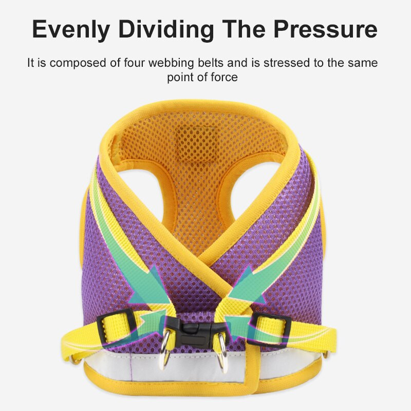 Koerarakmete ja jalutusrihmade komplekt väikestele koertele kassidele Helkurrihmad Reguleeritavad hingavad lemmikloomade rinnarihmad Koeratarvikud