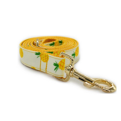 Isikupärastatud ananassist lemmiklooma kaelarihm kutsika kassi ID-silt Reguleeritav kohandatud nimi kuldne pandla oranž puu põhiline koera kaelarihmade jalutusrihma komplekt