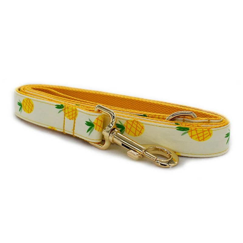 Isikupärastatud ananassist lemmiklooma kaelarihm kutsika kassi ID-silt Reguleeritav kohandatud nimi kuldne pandla oranž puu põhiline koera kaelarihmade jalutusrihma komplekt