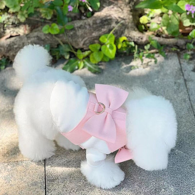 INS Leather Cute Big Bow suņa krūškurvja siksna Pet Cat Out Pastaiga suņa pavadas komplekts kucēns Čivavas Jorkšīras suņu piederumi maziem suņiem
