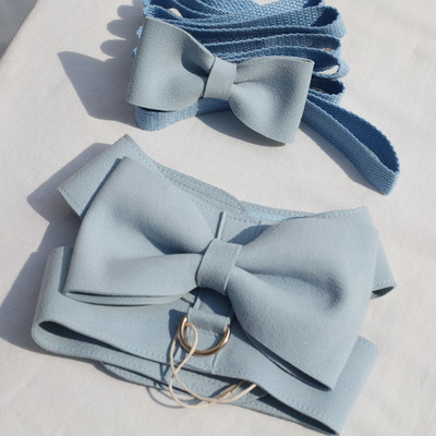 INS Δερμάτινο χαριτωμένο μεγάλο τόξο για σκύλους με λουράκι για κατοικίδιο ζώο γάτα έξω Walking Dog Leash Set Puppy Chihuahua Yorkshire Dog Supplies for Small dogs