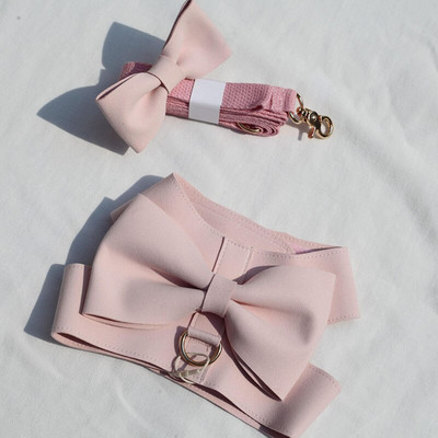 INS Δερμάτινο χαριτωμένο μεγάλο τόξο για σκύλους με λουράκι για κατοικίδιο ζώο γάτα έξω Walking Dog Leash Set Puppy Chihuahua Yorkshire Dog Supplies for Small dogs