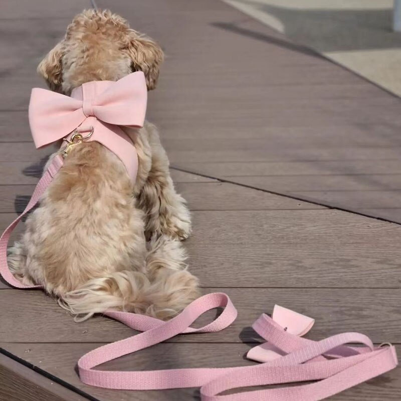 INS Δερμάτινο χαριτωμένο μεγάλο τόξο για σκύλους με λουράκι για κατοικίδιο ζώο γάτα έξω Walking Dog Leash Set Puppy Chihuahua Yorkshire Dog Supplies for Small dogs