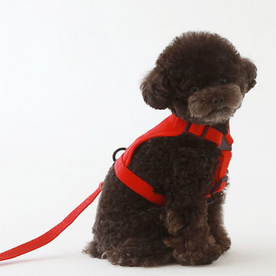 Σετ λουριών έλξης σκύλου Λουρί σκύλου για μικρό σκύλο Teddy Chihuahua Yorkshire Σετ σχοινί λουρί για σκύλους Κατάλληλο για κατοικίδια
