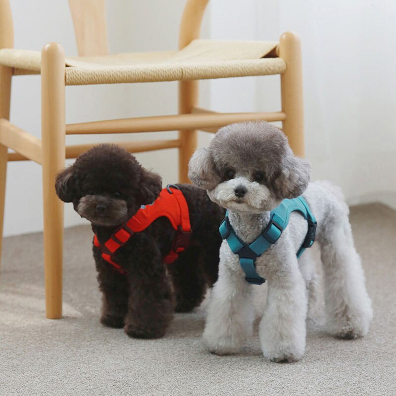 Σετ λουριών έλξης σκύλου Λουρί σκύλου για μικρό σκύλο Teddy Chihuahua Yorkshire Σετ σχοινί λουρί για σκύλους Κατάλληλο για κατοικίδια