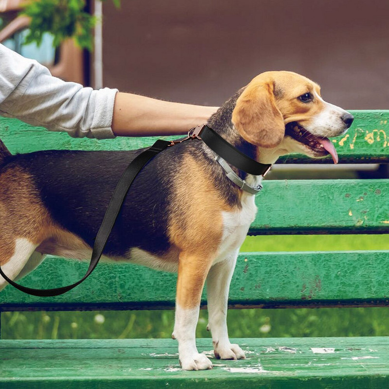 Koerte jalutusrihm Kohandatud koera kaelarihmad nailonist isikupärastatud lemmikloomade koerte sildi kaelarihma juht väikestele keskmistele suurtele koertele jalutusrihma ja kaelarihma komplekti rakmed