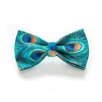 Set de zgardă și lesă pentru câini de companie, personalizat, personalizat, cu fundă, model de păun de lux Guler de designer pentru cataramă metalică pentru câini