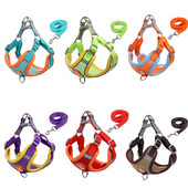 Φτηνές Υψηλής ποιότητας Σετ λουριών λουριών για γιλέκο σκύλου γάτας Ρυθμιζόμενες ζώνες κατοικίδιων ζώων για μικρούς μεσαίους σκύλους Αξεσουάρ Bichon mascotas