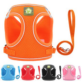 Harnașuri cu plasă de nailon pentru cățeluși, pisici, vestă, set de ham și lesă pentru câini, pentru chihuahua, pug, mic, mediu, plimbare.