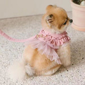 Fusta tutu din țesătură din velur din dantelă, vestă pentru animale de companie, câine mic, bichon, schnauzer, costum pentru cățeluș.