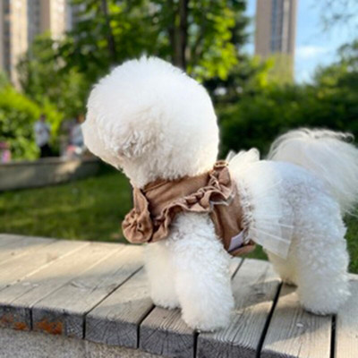 Fusta tutu din țesătură din velur din dantelă, vestă pentru animale de companie, câine mic, bichon, schnauzer, costum pentru cățeluș.