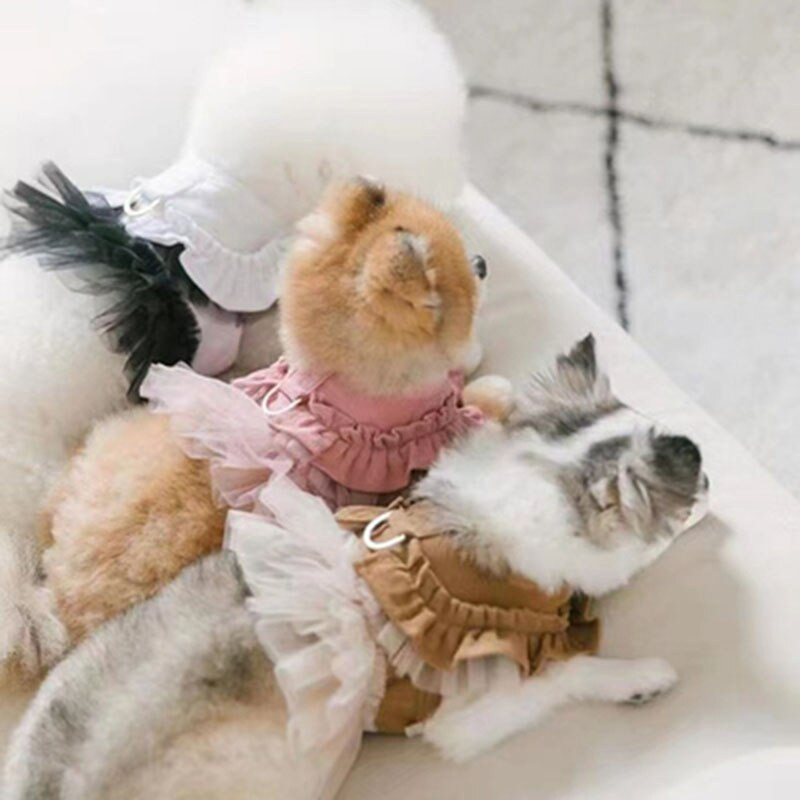 Fusta tutu din țesătură din velur din dantelă, vestă pentru animale de companie, câine mic, bichon, schnauzer, costum pentru cățeluș.