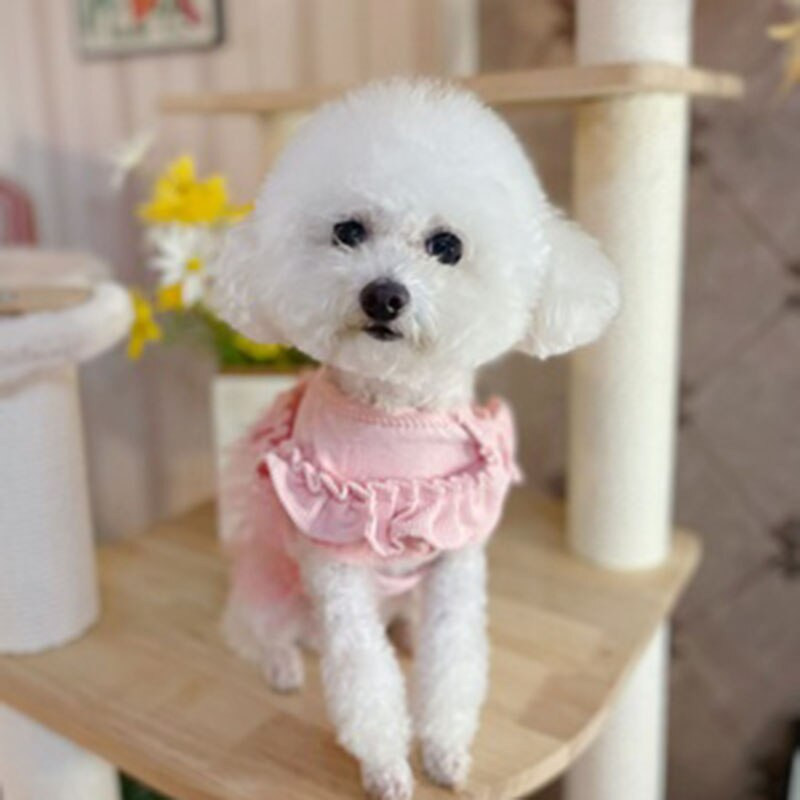 Fusta tutu din țesătură din velur din dantelă, vestă pentru animale de companie, câine mic, bichon, schnauzer, costum pentru cățeluș.