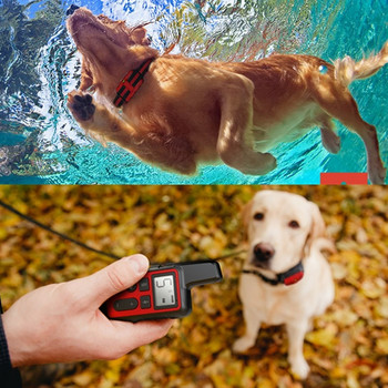 Електрически нашийник за обучение на кучета Водоустойчиво дистанционно управление за домашни любимци Акумулаторни 500 м нашийници за обучение на кучета със звук от ударна вибрация
