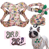 No Pull Nailonist koerarakmete jalutusrihma komplekt, peegeldav samm koertele.