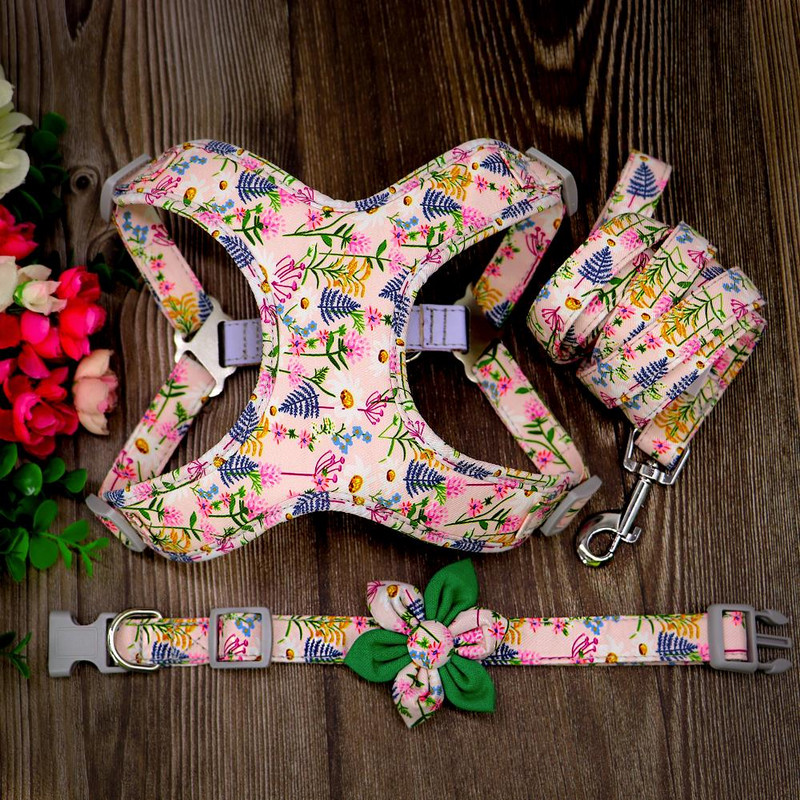 No Pull Nailonist koerarakmete jalutusrihma komplekt, peegeldav samm koertele.