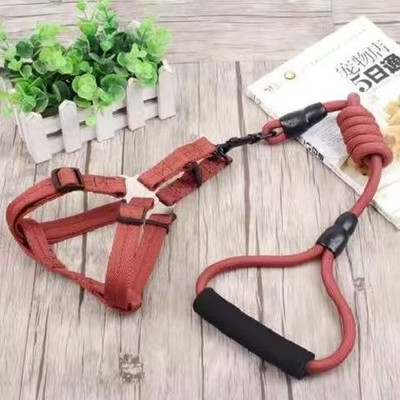 Koera veoköis vesti tüüp Koera köis koera kett Veoköis Koera veoköis Rindkere rihm Koera kaelarihm rakmed Juhtmed