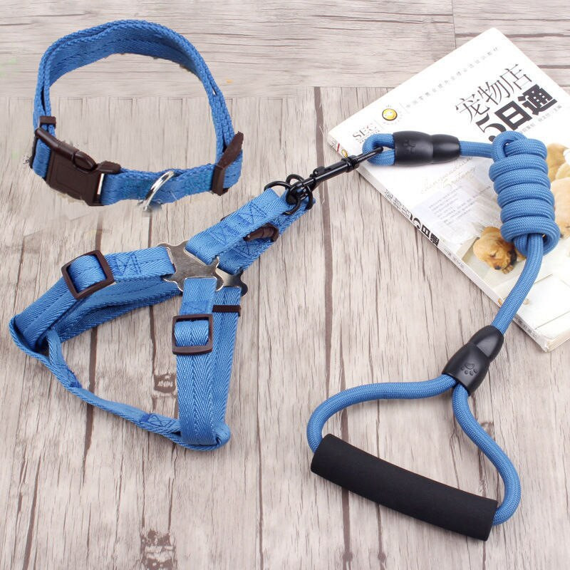 Koera veoköis vesti tüüp Koera köis koera kett Veoköis Koera veoköis Rindkere rihm Koera kaelarihm rakmed Juhtmed