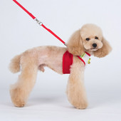 1 tk koerad kassid mood võrk hingavad rakmed plii komplekt lemmikloom koer kass õues waik rakmed jalutusrihma ülikond lemmikloomatoodete tarvikud