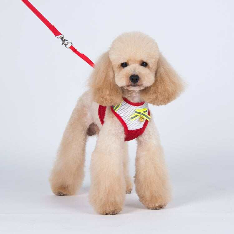 1 tk koerad kassid mood võrk hingavad rakmed plii komplekt lemmikloom koer kass õues waik rakmed jalutusrihma ülikond lemmikloomatoodete tarvikud