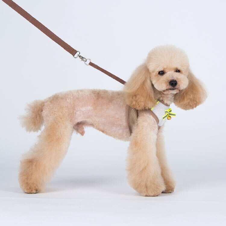 1 tk koerad kassid mood võrk hingavad rakmed plii komplekt lemmikloom koer kass õues waik rakmed jalutusrihma ülikond lemmikloomatoodete tarvikud