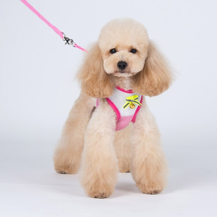 1 tk koerad kassid mood võrk hingavad rakmed plii komplekt lemmikloom koer kass õues waik rakmed jalutusrihma ülikond lemmikloomatoodete tarvikud