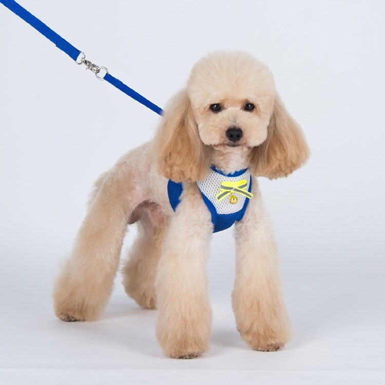 1 tk koerad kassid mood võrk hingavad rakmed plii komplekt lemmikloom koer kass õues waik rakmed jalutusrihma ülikond lemmikloomatoodete tarvikud