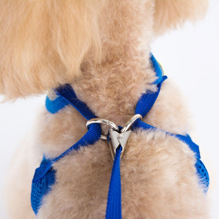 1 tk koerad kassid mood võrk hingavad rakmed plii komplekt lemmikloom koer kass õues waik rakmed jalutusrihma ülikond lemmikloomatoodete tarvikud