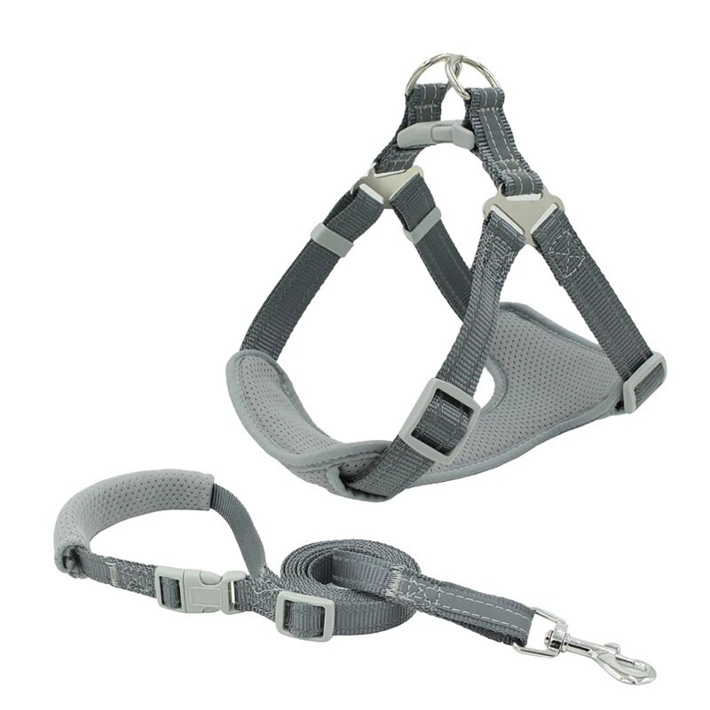 Peegeldavad koerarakmed Nailonist lemmikloomavest koos jalutusrihma komplektiga Hingavad võrgust riidest lemmikloomarakmed väikese suure koera õues jalutamiseks
