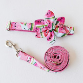 2020, zgarda pentru câine pepene verde, set de flori și lesă pentru câine, set de zgarda și lesă pentru câine de designer, zgarda rezistentă și rezistentă pentru câini de talie mare