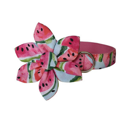 2020, zgarda pentru câine pepene verde, set de flori și lesă pentru câine, set de zgarda și lesă pentru câine de designer, zgarda rezistentă și rezistentă pentru câini de talie mare