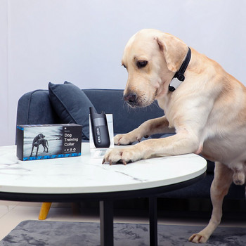 Περιλαίμιο εκπαίδευσης σκύλων με τηλεχειριστήριο κατοικίδιων ζώων με επαναφορτιζόμενο ηλεκτρικό αδιάβροχο κολάρο εκπαίδευσης σκύλου με κραδασμούς
