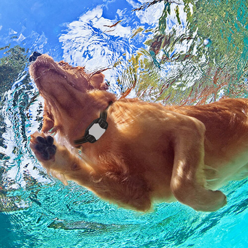 Περιλαίμιο εκπαίδευσης σκύλων με τηλεχειριστήριο κατοικίδιων ζώων με επαναφορτιζόμενο ηλεκτρικό αδιάβροχο κολάρο εκπαίδευσης σκύλου με κραδασμούς