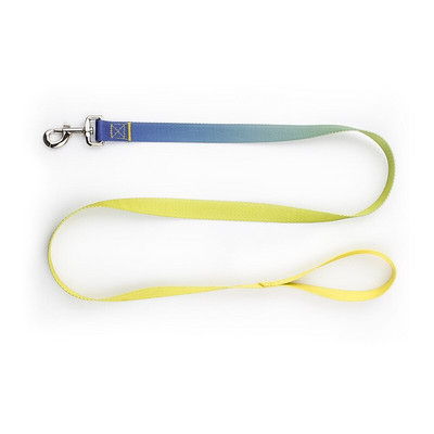 Κολάρο σκύλου Ombre Χρώμα μαλακή πόρπη Άνετα νάιλον ρυθμιζόμενα περιλαίμια κατοικίδιων για μεγάλα, μεσαία, μικρά κουτάβια σκυλιά