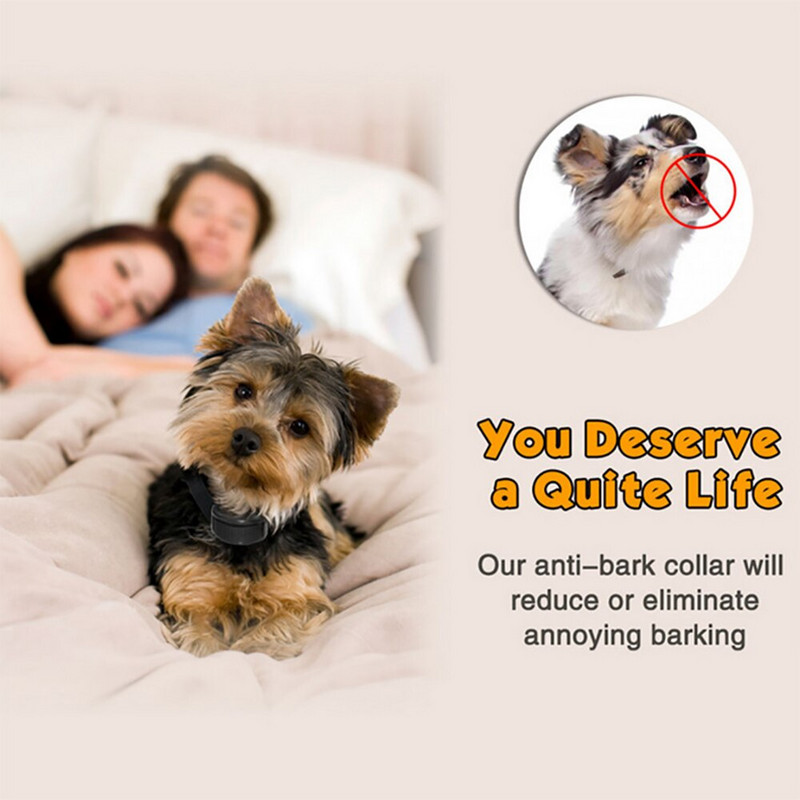 Zgarda de dresaj pentru câini de companie Anti lătrat No Bow-Wow Dispozitiv automat Tone Shock Adiestramiento Perro Collier Anti Aboiement Chien