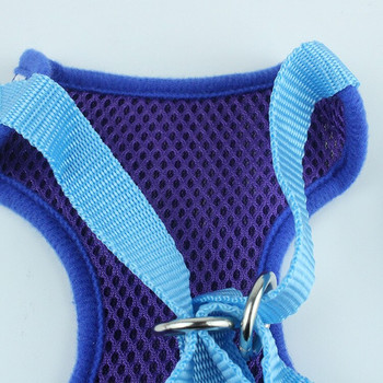 Προμηθευτής 2021 New Dog Leads Harness Sets Ισχυρά λουριά από νάιλον για χαριτωμένα σκυλιά Γάτα Καλοκαιρινή εκπαίδευση σε εξωτερικό χώρο Walking Pet Poducts