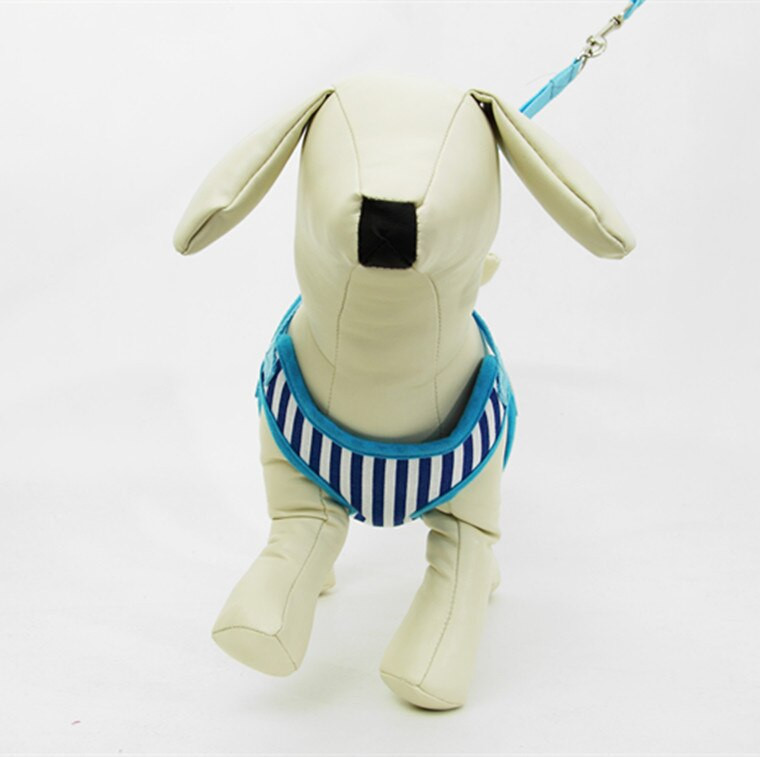 2021. aasta uued koerarihmade rakmed, tugevad nailonrihmad armsatele koertele, kasside suveks õues treenimiseks jalutusrihmade tarnija